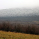 Image for article titled Iced fog turns forest into real life Frozen magic kingdom